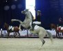 ELGORIUSZ - class winner Classic Pleasure Advanced at August Championship for Arabian Sport Horses b. Michałów Stud o. Oliwia Kowal - by Sylwia Iłenda
