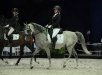 ELGORIUSZ - class winner Classic Pleasure Advanced at August Championship for Arabian Sport Horses b. Michałów Stud o. Oliwia Kowal - by Karolina Misztal