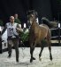 POKER FACE KL - class winner yearling colts B, b/o Klikowa Arabians - by Karolina Misztal