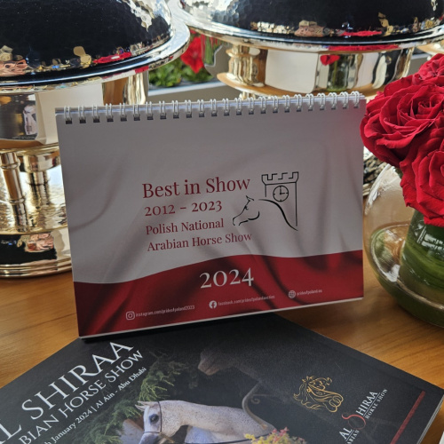 Al Shira'a Arabian Horse Show - UAE