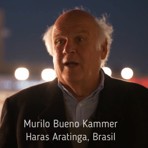 MURILLO KAMMER z HARAS ARATINGA z Brazylii